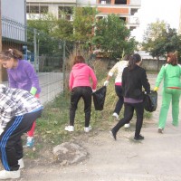 IMG_3229