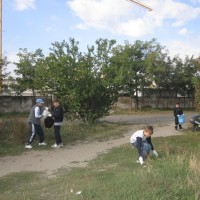 IMG_3231